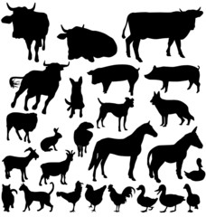 farm animals silhouettes set