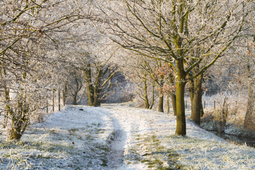 Winterlandschaft 1