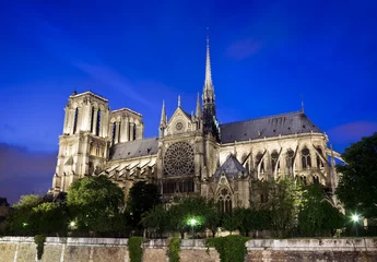 Fotobehang Notre Dame de Paris © VILevi
