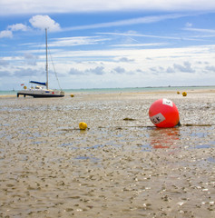 Jersey island © anilah