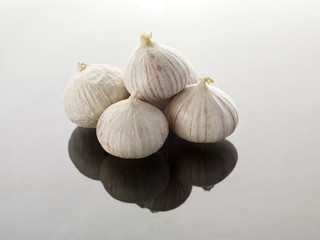 knoblauch
