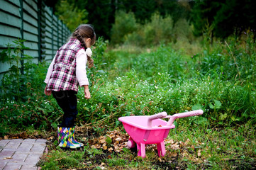 Small girl plays with garden wheelbarrow