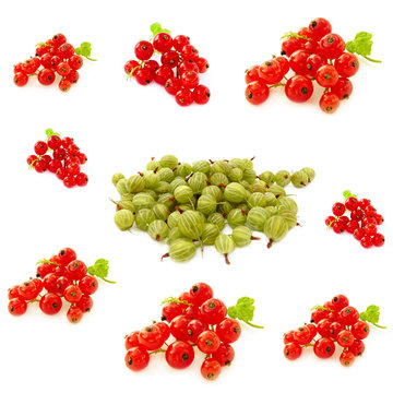 Berry collage, gooseberries and red currants