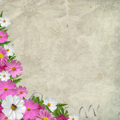 Pink and white flowers over  grunge canvas texture