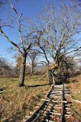 Autumn landscape. Leafless trees and broken fence