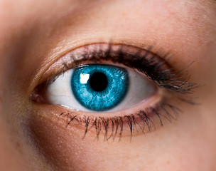 Auge blau