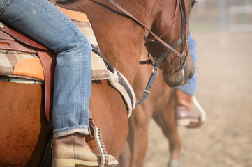 Horse riding