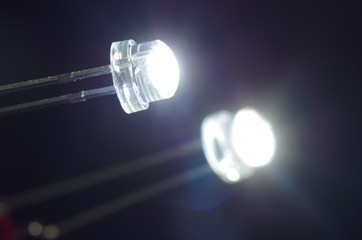 白色発光ダイオード/黒バック