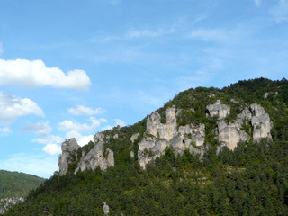 Fototapeta na wymiar gorges du tarn