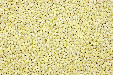 Groats barley as a background