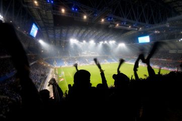 Fans celebrating a goal on football / soccer match