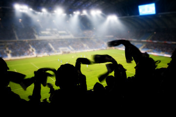 Fans celebrating a goal on football / soccer match