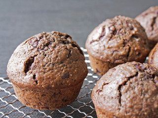 Schokoladen Muffin