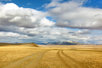 Fototapeta na wymiar Mongol droga do góry