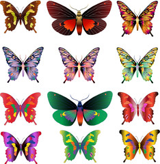 set of different multicolored butterflies
