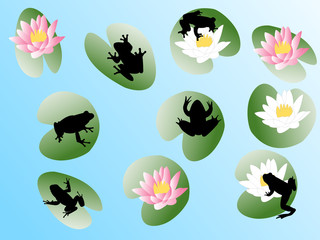 frogs on flowers - vector