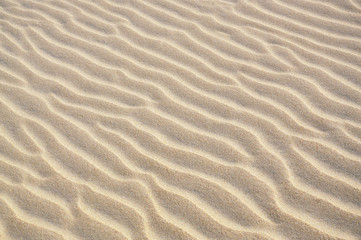 Wave patterns on a sand dune