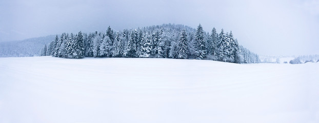 Winter panorama XXL