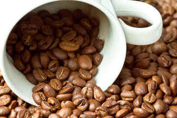 White cup in coffee beans