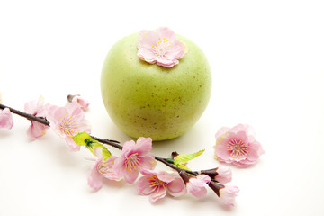 Apfel und Zweig mit Blüten