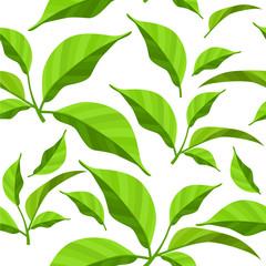 Seamless pattern with fresh green leaves on white