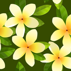 Modèle sans couture avec des fleurs de frangiapanier sur vert