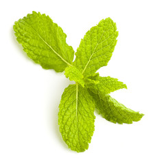 mint leafs