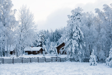 winter landscape