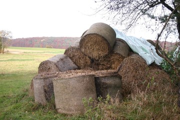 gelagerte Strohballen