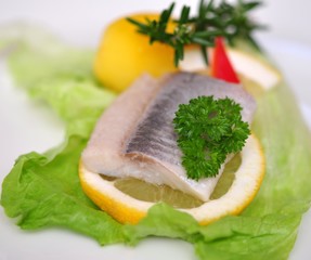 Hering, Zitrone