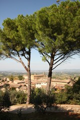 Obraz premium San Gimignano - arbres