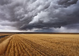 Papier Peint photo Lavable Orage Nuages d& 39 orage au-dessus des champs