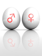 Isolated white egg with drawn Venus and Mars symbol