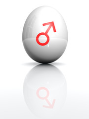 Isolated white egg with drawn Mars symbol
