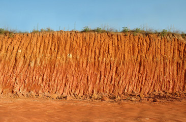 soil section