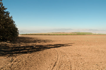 Galilee. North Israel .