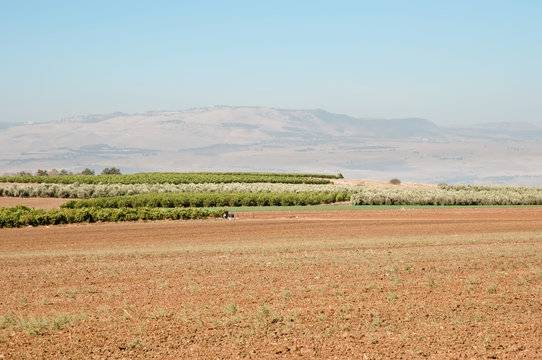 Galilee. North Israel .