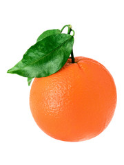 orange with green leaf