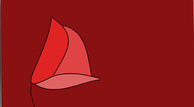 tulipano rosso