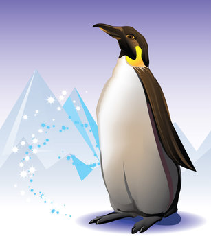 Penguin on the iceberg and snow background