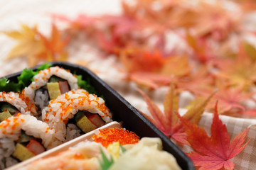 巻き寿司のお弁当と紅葉したモミジ