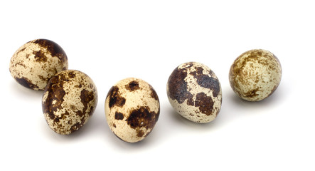 Fototapeta premium quail eggs