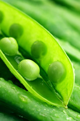 Pea pods