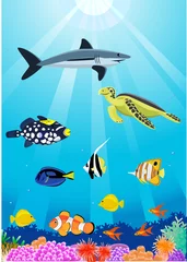 Poster Im Rahmen schönes Meeresleben © matamu
