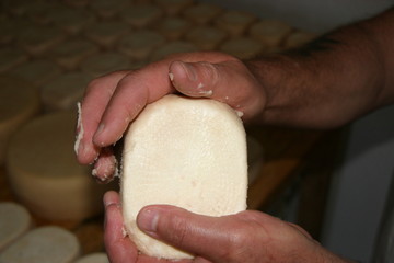 Fabrication fromage fermier en Corse