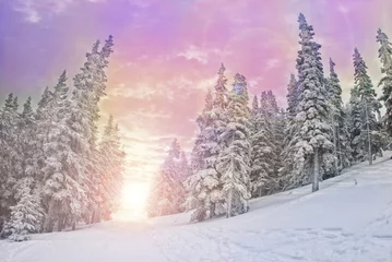 Gordijnen majestic sunset in the winter mountains landscape © Laszlo