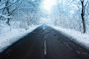 Winter road and trees covered with snow