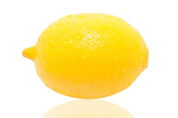 Studio shot of the lemon on white background