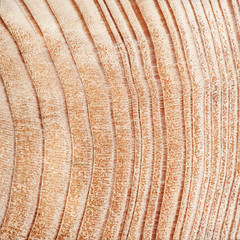 Wood texture background