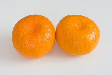 Two mandarins on gray background